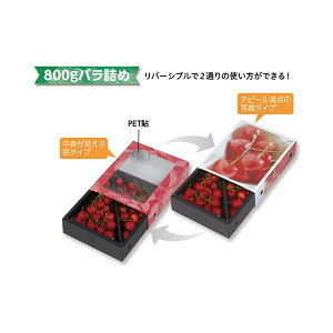 yK{z}jpbP[W ڔ L-2416 ڃXChBOX 200×150×50mm 1P[X100