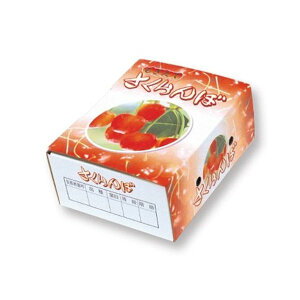 yK{z}jpbP[W ڔ ARL-11 500g×1P 180×135×70mm 1P[X200