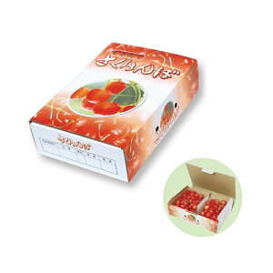 yK{z}jpbP[W ڔ ARL-2075 500g×2P 265×175×70mm 1P[X100