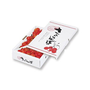 yK{z}jpbP[W ڔ L-8104 ڃol 1kg 270×172×60mm 1P[X100