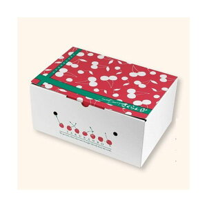 yK{z}jpbP[W ڔ L-2497 2iBOX 180×269×122mm 1P[X50