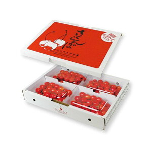 yK{z}jpbP[W ڔ L-8130 200g×4P 252×350×55mm 1P[X50