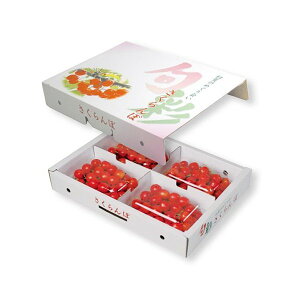 yK{z}jpbP[W ڔ ARL-33 {ʃhI200g×4P 282×350×56mm 1P[X50