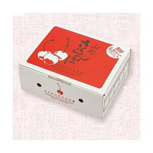 yK{z}jpbP[W ڔ L-8118 R`ڃfBXv[ 500g 135×175×70mm 1P[X200