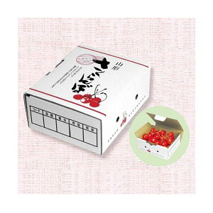 yK{z}jpbP[W ڔ L-8117 1pbN R^ 175×135×70mm 1P[X200