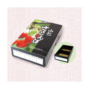 yK{z}jpbP[W ڔ L-8132 R` [^ BK 270×168×70mm 1P[X100