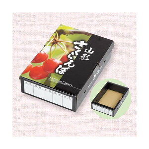 yK{z}jpbP[W ڔ L-2459 R`  215×145×60mm 1P[X200