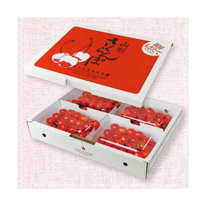 yK{z}jpbP[W ڔ ARL-35 200g×4PR` 252×350×55mm 1P[X50