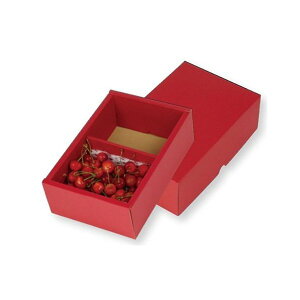 yK{z}jpbP[W ڔ L-2424 t[cg[500g2P 170×270×95mm 1P[X60