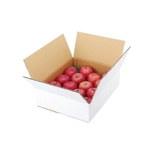 yK{z}jpbP[W 񂲔 L-2234 A񂲔n 5kg 445×342×125mm 1P[X40