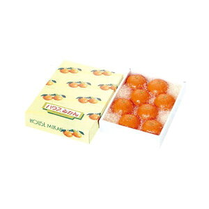 ݂ nEX~J  225×300×100mm 1P[X60 601033 Ma