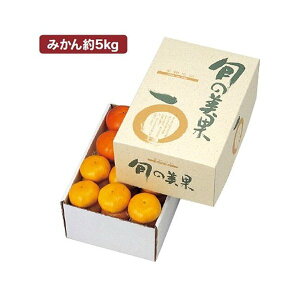 yK{z}jpbP[W ݂ L-341 {̔ 5kg 330×220×140mm 1P[X40