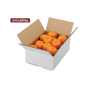 yK{z}jpbP[W ݂ L-2232 A݂񔒖n 5kg 370×262×140mm 1P[X60