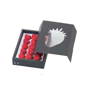 yK{z}jpbP[W  L-478M C`SJPP\ 245×175×60mm 1P[X100 C`Sp/_{[