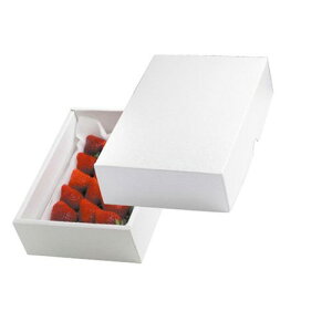 yK{z}jpbP[W  LTO-36FS p[36FS 205×147×60mm 1P[X100