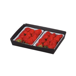 yK{z}jpbP[W  L-2133 ~jig[ 2P^ 275×210×45mm 1P[X300