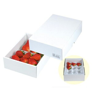 yK{z}jpbP[W  LTO-21FS p[21FS 240×170×70mm 1P[X100