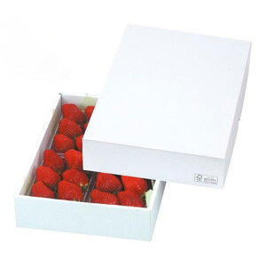 yK{z}jpbP[W  LTO-27FS p[27FS 340×240×70mm 1P[X50