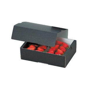 yK{z}jpbP[W  L-2096 C`S2PT[rX Zbg 232×170×75mm 1P[X200