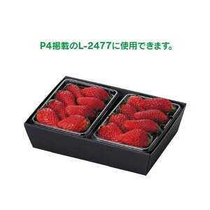 yK{z}jpbP[W  L-453 pbN2Pp g[ 240×167×56mm 1P[X300