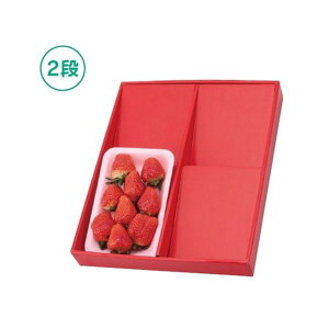 yK{z}jpbP[W  L-2215 fBXvC{bNX  [p2i 360×300×45mm 1P[X50