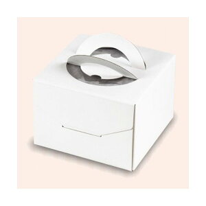 yK{zfR[VP[L DE-171 fRzCg135 g[䎆 5 190×190×135mm 1P[X100 }jpbP[W