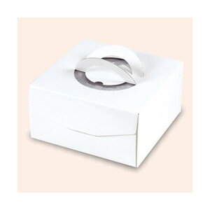 yK{zfR[VP[L DE-174 fRzCg150 g[䎆 7 250×250×150mm 1P[X100 }jpbP[W