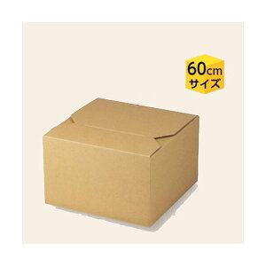 yK{zʃr[ K-1565FS EGP[X 350ml 9{FS 202×202×128mm 1P[X100 }jpbP[W