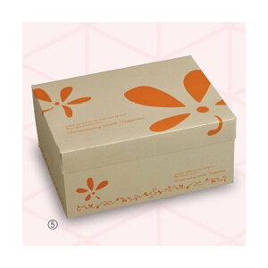 yK{zP[L 20-2024 t[hT[rX Vg #8 240×180×110mm 1P[X200 }jpbP[W