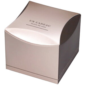 yK{zmَqEĂَqMtg 20-2104 NX L[rbN 100×100×85mm 1P[X100 }jpbP[W