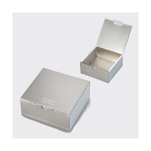 yK{zmَqEĂَqMtg 20-2109 V XNGA 137×137×65mm 1P[X100 }jpbP[W