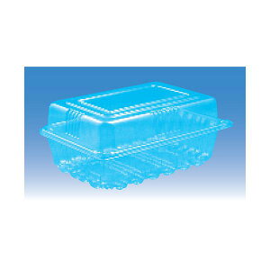 t[cpbN t[c1000 F-1000 237×171×100mm ƍ 6H 1P[X300 200441 Ma