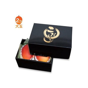 yK{zt[cpMtg L-2217 ̍ 2 220×150×120mm 1P[X60 }jpbP[W