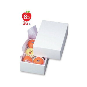 yK{zt[cpMtg LTO-1 zCg 1 190×275×110mm 1P[X40 }jpbP[W