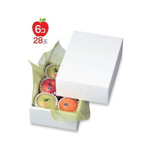 yK{zt[cpMtg LTO-2 zCg 2 210×300×110mm 1P[X40 }jpbP[W