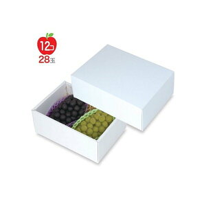 yK{zt[cpMtg LTO-38 zCg 2 [ 300×210×125mm 1P[X30 }jpbP[W