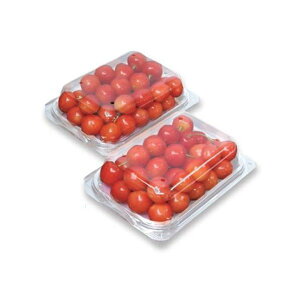 yK{z~jg}gE`F[pbN hIpbN 350gp 158×107×60mm 1P[X400