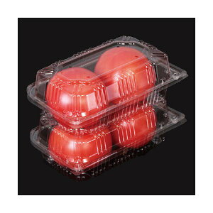 g}gppbN g}pbN-2 4H 180×112.5×60mm ƍ 1P[X800 200431 Ma