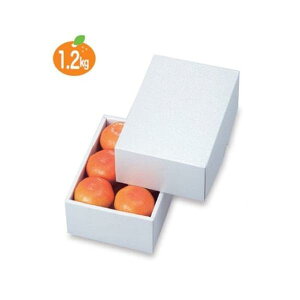 yK{zt[cpMtg LTO-17FS p[17FS 140×195×85mm 1P[X100 }jpbP[W