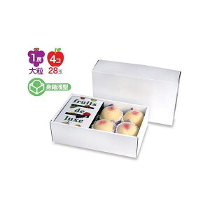 yK{zt[cpMtg LTO-37 p[  oGeB 370×225×110mm 1P[X50 }jpbP[W