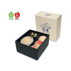 yK{zt[cpMtg L-492BL v`C{ʐgEd() 265×290×155mm 1P[X30 }jpbP[W