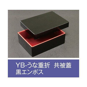 ylLzyK{zܔ YB-ȏd G{X Wt 160×115×48mm 1P[X300 AC