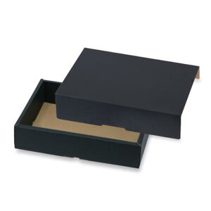 yK{z L-2524 l250g 2P T[rX  280×205×63mm 1P[X100 }jpbP[W