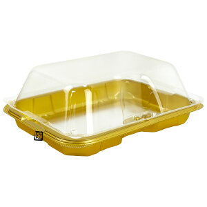 yK{zؐʗppbN CF300 9H S[h SE XChƍ 162×123×55mm 9 1P[X1200 GtsR`[p GtsR`[p