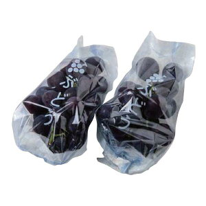 ԂǂpOp  u[ t 125×280×325mm 1P[X3000 FY