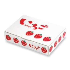 �y�����K�{�z�������� L-2504 �C���X�g���������l�� 250g2P 270×200×55mm 1�P�[�X100������ ���}�j�p�b�P�[�W