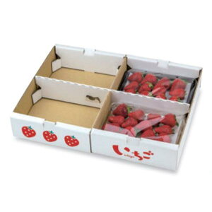 �y�����K�{�z�������� L-2514 �C���X�g���������l�� 250g4P�Z�p���[�g 404×280×67mm 1�P�[�X80������ ���}�j�p�b�P�[�W
