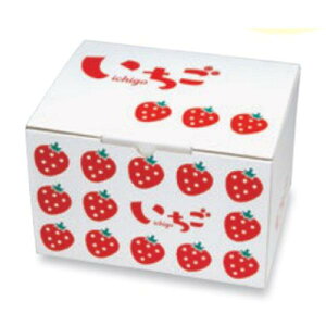 yK{z L-2502 CXg300g4P 2iBOX 240×175×150mm 1P[X50 }jpbP[W