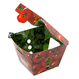yK{zxW 80p g}g FSM CP501831 80×80×60mm 1P[X600 GtsR`[p ~jg}gp P[X