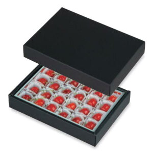 yK{zڔ L-2519  24H 190×125×28mm 1P[X50 }jpbP[W